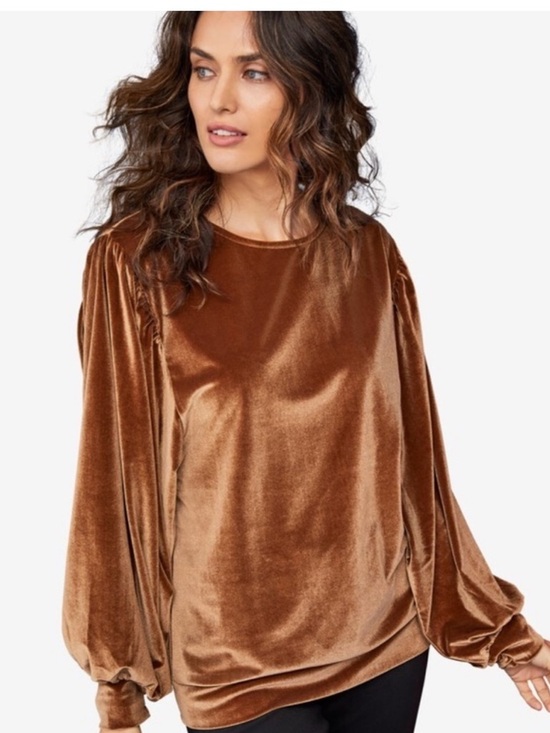 ellos Tops - Ellos 1X Velour Top Bronze Brown Puff Sleeve Plus Size 22/24 Velvet Blouse